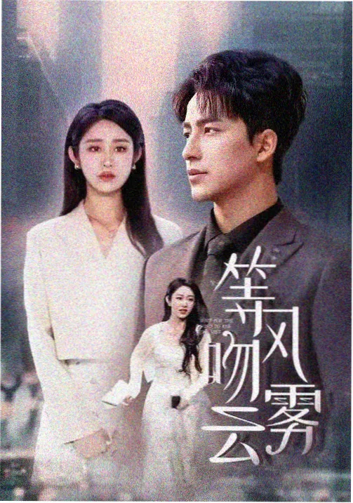 迷雾追踪免费电视剧播放